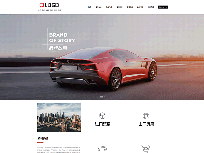 某某进出口集团有限公司