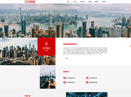 某某国际贸易有限公司